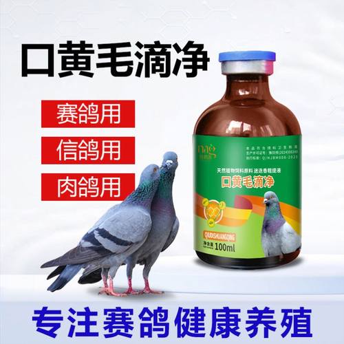 白点口黄毛滴 口腔净鸽用 赛鸽毛滴 信鸽喉内白点口黄粘液