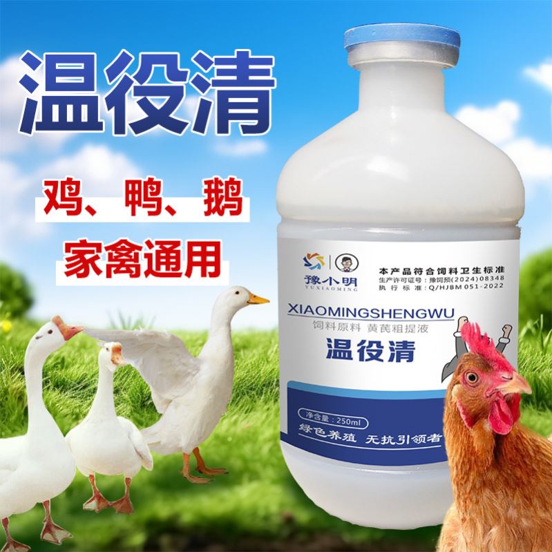 温役清正品呆立打蔫豫小明温疫清温立清鸡水便绿便养鸡专用鸡用