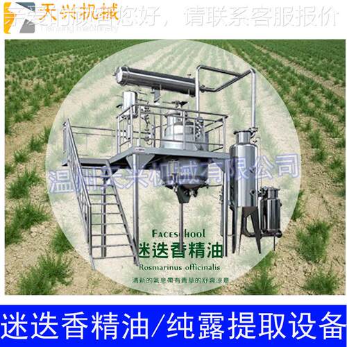 出迷迭精油提取设备84811迷迭香纯露提取 温州口天兴 机香械