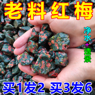 梅花玉鱼缸石纯天然红梅造景装饰鱼缸底部砂石天然原石净水石