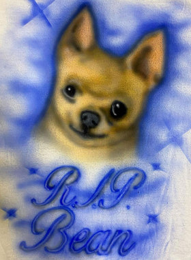 番茄小诗涂鸦Graffiti个性personality美式americanism短袖T恤