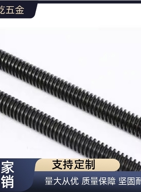 MTSBR/MTSR/MTSL/MTSRW MTSLW8/10/12/20/25/2230度C梯形丝杆丝杠