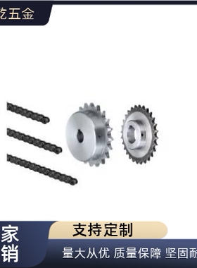 80/1寸链轮VLL02-80/SP80B-9/10/11/12/13/14齿