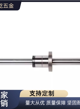 滚珠指向轴BHSS BHSN BHSM 6 8 10 13 16 20 25 30/G/L