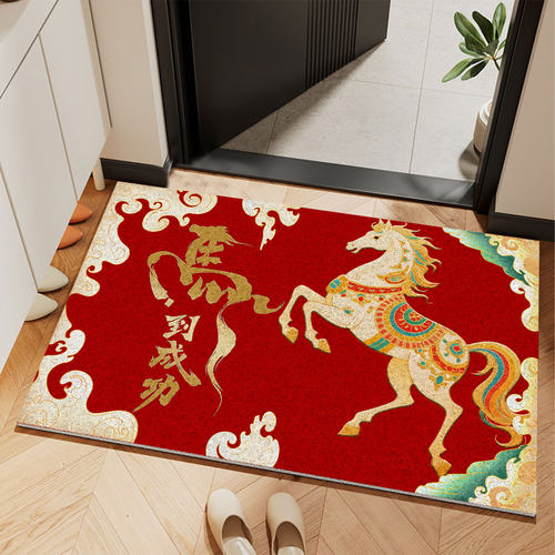 地垫入户门垫氛围感丝圈防滑耐脏