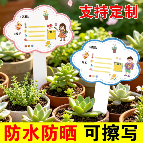 植物标签插牌幼儿园绿植养护卡片