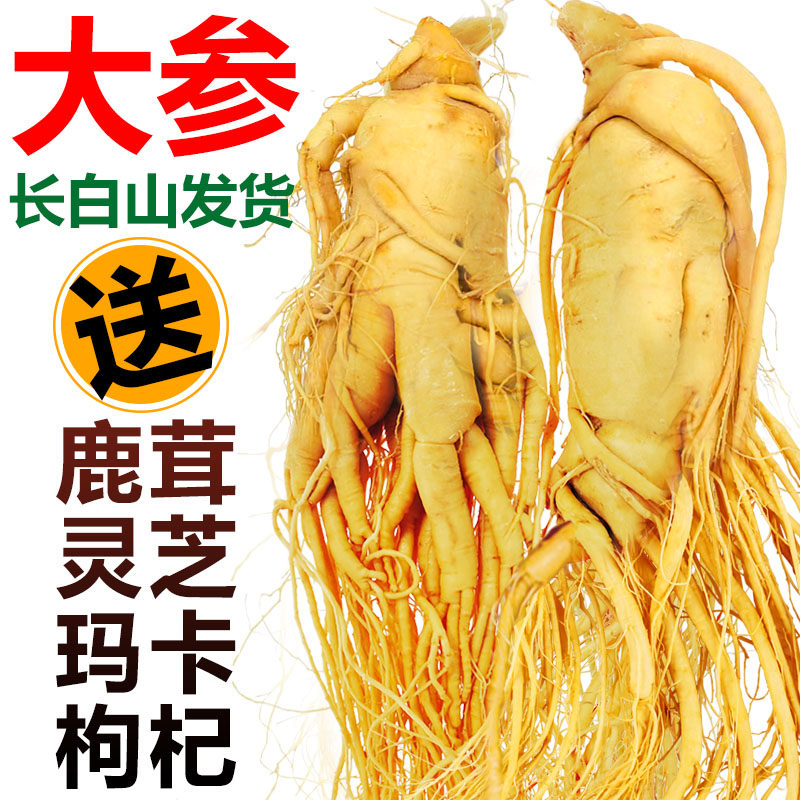 长白山人参泡酒专用东北特产鲜人参滋补中药材吉林人参非野山参