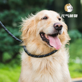 狗狗牵引绳狗链子遛狗绳训犬p链中型大型犬防暴冲溜狗绳宠物用品