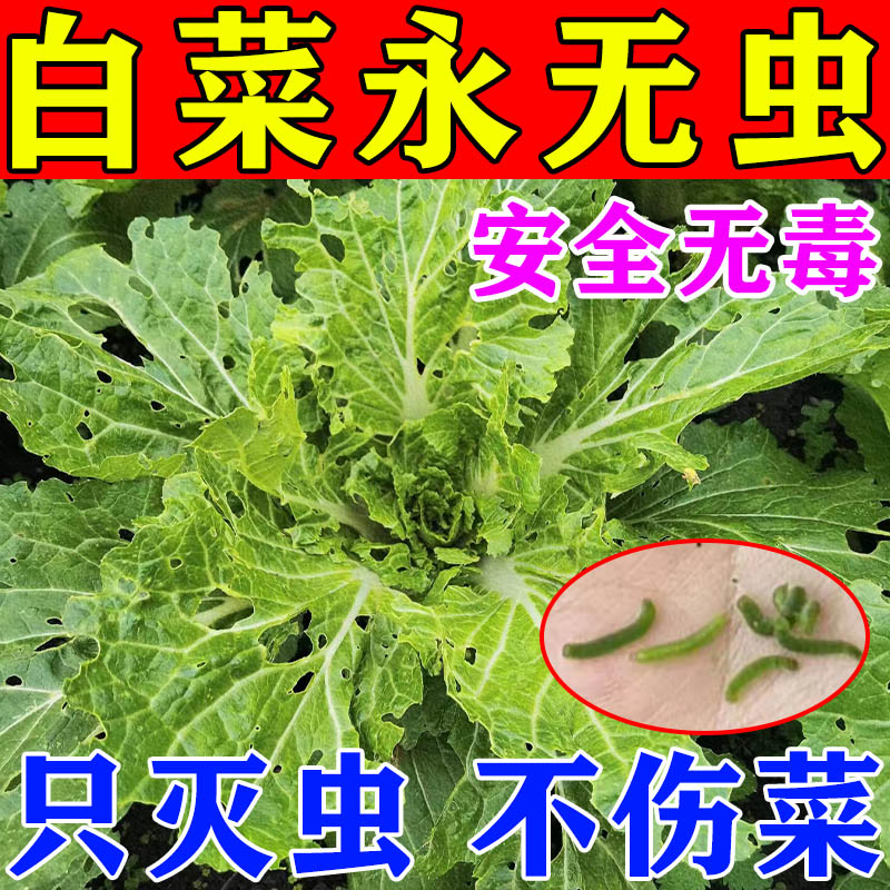 菜地植物杀虫家庭园艺防虫片蔬菜菜地除虫花盆花草盆栽花卉除虫 鲜花速递/花卉仿真/绿植园艺 家庭园艺肥料 原图主图