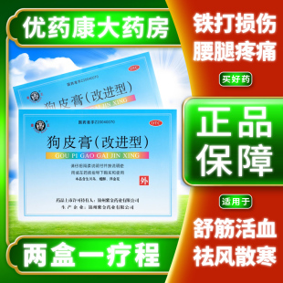 象王狗皮膏 6贴风湿关节痛运动腰腿酸痛肌肉酸痛止痛LH 改进型