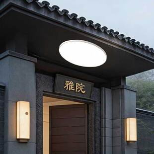别墅大门口吸顶灯农村自建房入户门厅室外房檐阳台走廊防潮防虫灯
