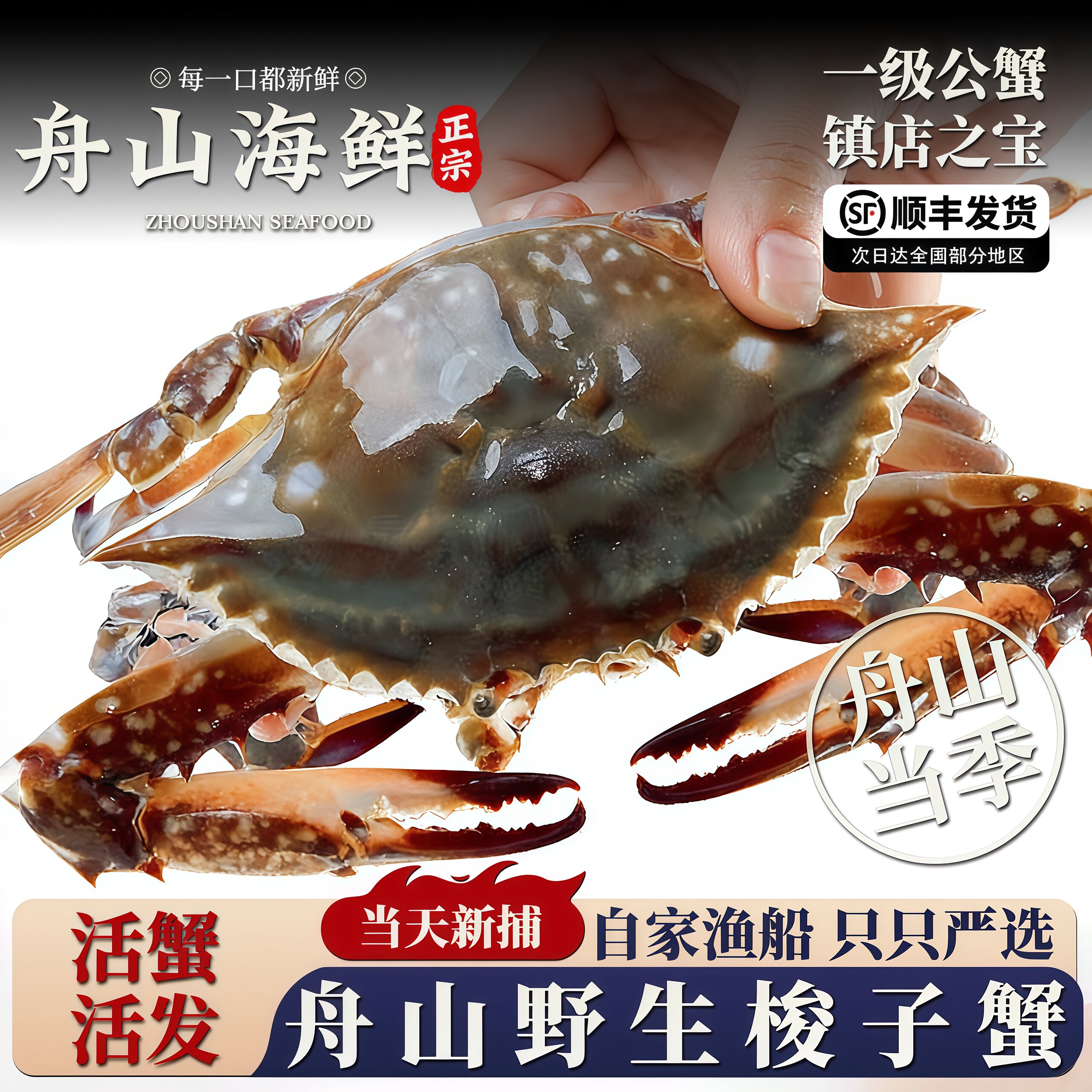 肥度很好舟山梭子蟹活蟹发货新鲜