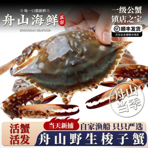 肥度很好舟山梭子蟹活蟹发货新鲜