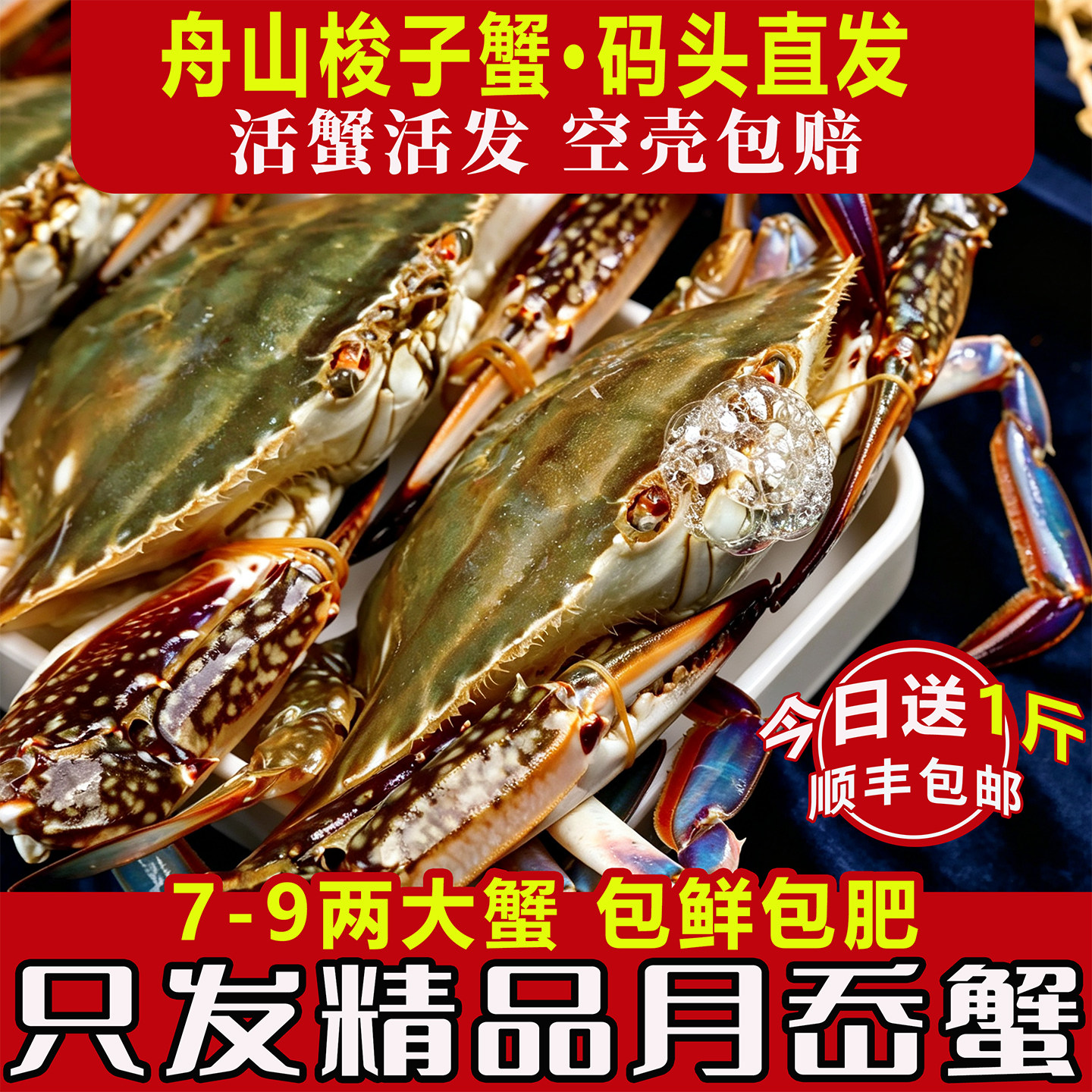 活蟹活发舟山梭子蟹包肥渔船直发