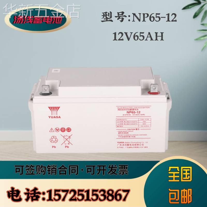 汤浅蓄电池NP100-1212v65ah40ah38ah24ah12v17aUPS/EPS电源直流屏