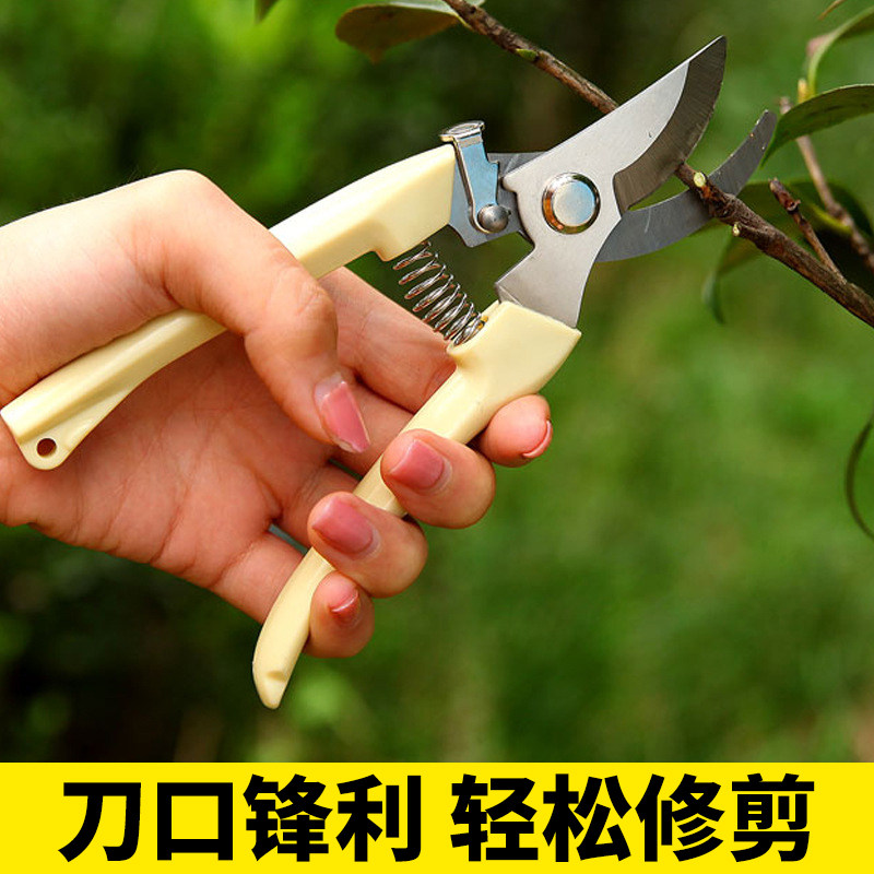 剪树枝剪刀专用花剪园艺园林修枝园丁剪嫁接强力采摘省力修水果树