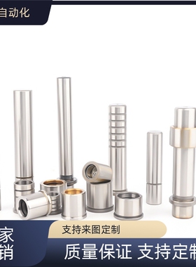 替代 OFH01-OFH06  OFH01-D10-L60 卸料板导柱 直杆型/肩型