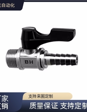 替球阀BBHRS11/BBRCS22/33 c-BBPH61 BBPH93 BBPH124-B W Y