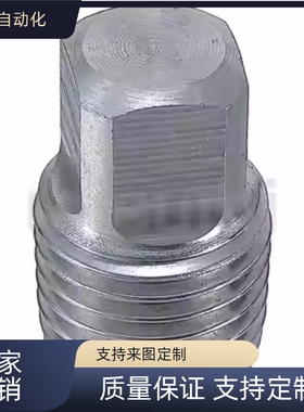 不锈钢外丝堵头  SGPPP/SUPPP6A/8A/10A/15A/20A/25A/32A/40A/50A