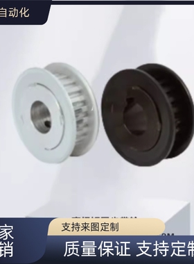 替上隆TAA/TABS2M/S3M/S5M/S8M-14/16/18/23/36/60高扭矩同步带轮