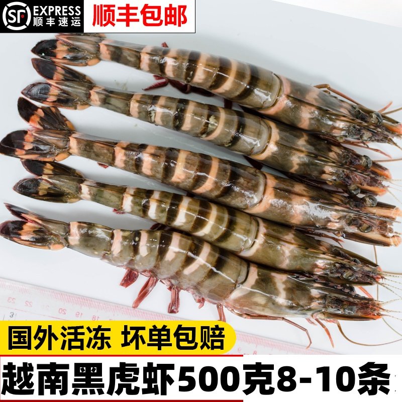 【活冻】越南黑虎虾鲜活冷冻老虎虾新鲜海鲜水产斑节虾大虾基围虾