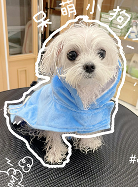 Yuup！维尼塔宠物专用浴袍狗狗猫猫咪洗澡专用吸水斗篷浴袍