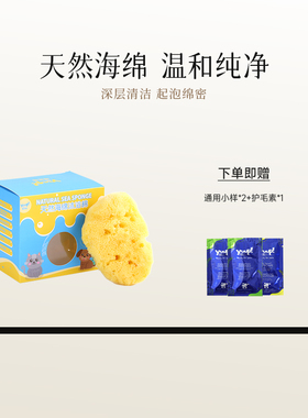 YUUP希腊进口天然海绵宠物洗澡洗脸洗脚猫咪狗狗搓澡神器蜂窝海绵