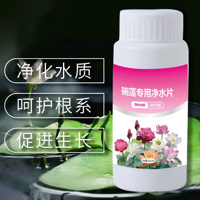 碗莲净水片 睡莲荷花净化水质水池除臭去杂质清澈 水培植物通用