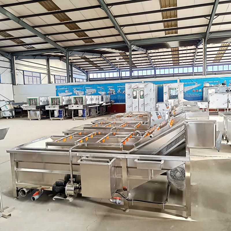 梅清洗机 全式自杨连动续水果气泡清洗CES机 喷淋鼓泡洗桃机