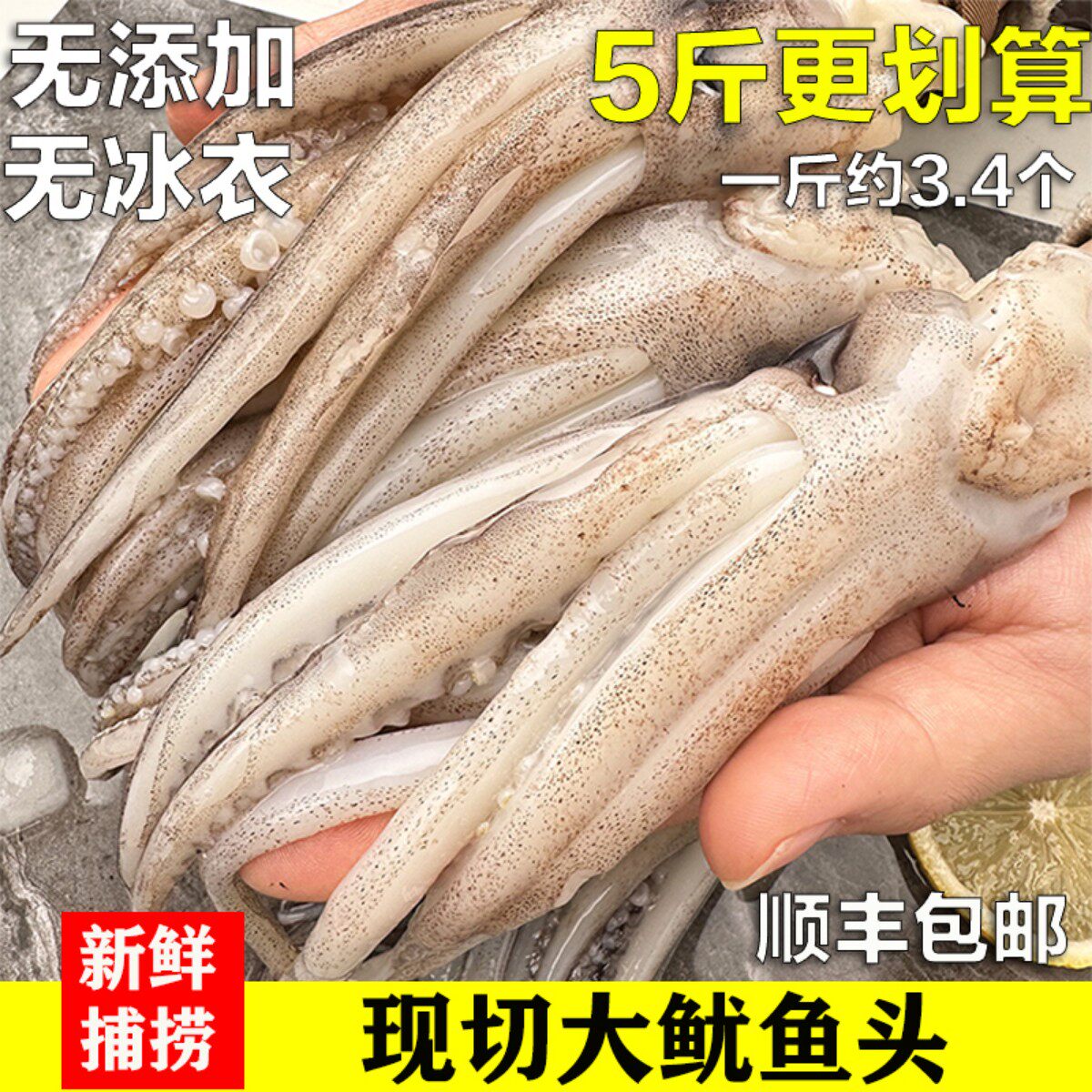 新鲜现切鱿鱼须海鲜超大鱿鱼头无冰衣鲜活冷冻章鱼火锅烧烤食材怎么看?