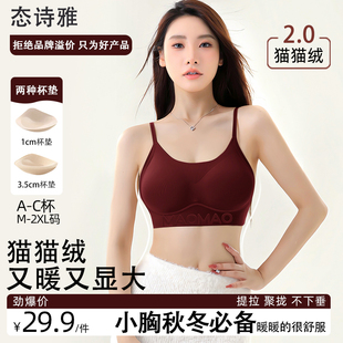 新款 聚拢提拉细肩带文胸罩早秋 猫猫绒小胸显大无痕美背内衣女推荐