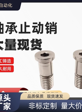 BGP BGPM 6 8 10-9 11 13 14 17-L20 L25 L30 L40 L50 轴承止动销