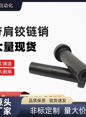 内螺纹 MIP01 11-D6 D8 D10 D12 D15-L15 L20 L25 L30 带肩铰链销