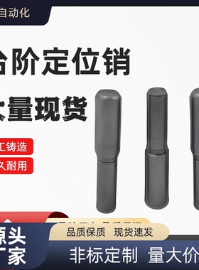 MSFW BLY01 BLY21-D5 6 8 10 13-L15 20 25 30 台阶定位销 圆柱销