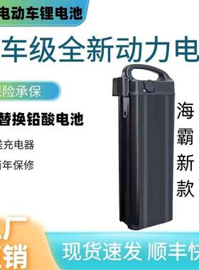 48v海霸新款凯达代驾折叠车可拆卸电池15ah电池20ah原厂锂电池