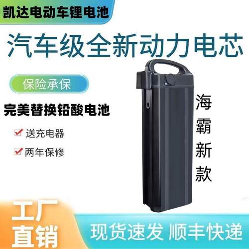 折叠车15ah锂电池48v新款海霸