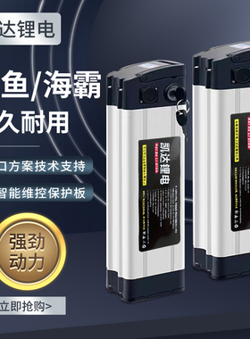 电动车锂电池48v20ah30ah代驾车外卖车折叠电动车电池60v电瓶36v