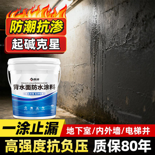 室内防潮防霉墙面涂料地下室墙面