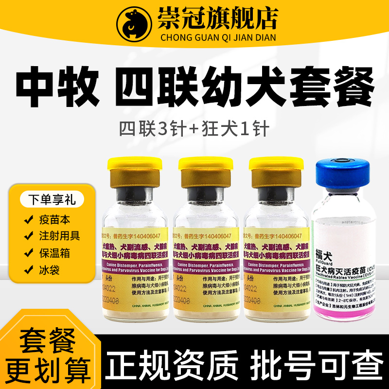中牧犬四联成犬细小土狗宠物