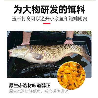 重庆合川王二娃谷麦逗钓窝料鲤鱼春夏季草鱼玉米打底窝料巨物