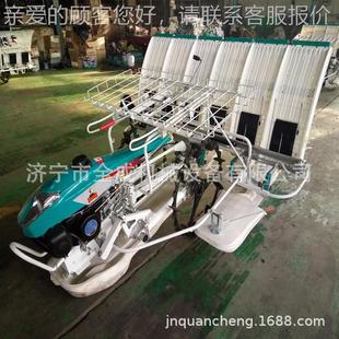 2ZF 汽稻插秧机农用6行USI水稻油插稻扶机价格水插秧机 6型手式