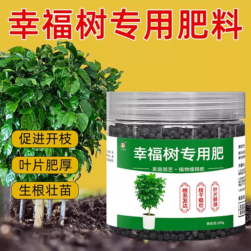 幸福树掉叶黄叶氮磷钾复合肥