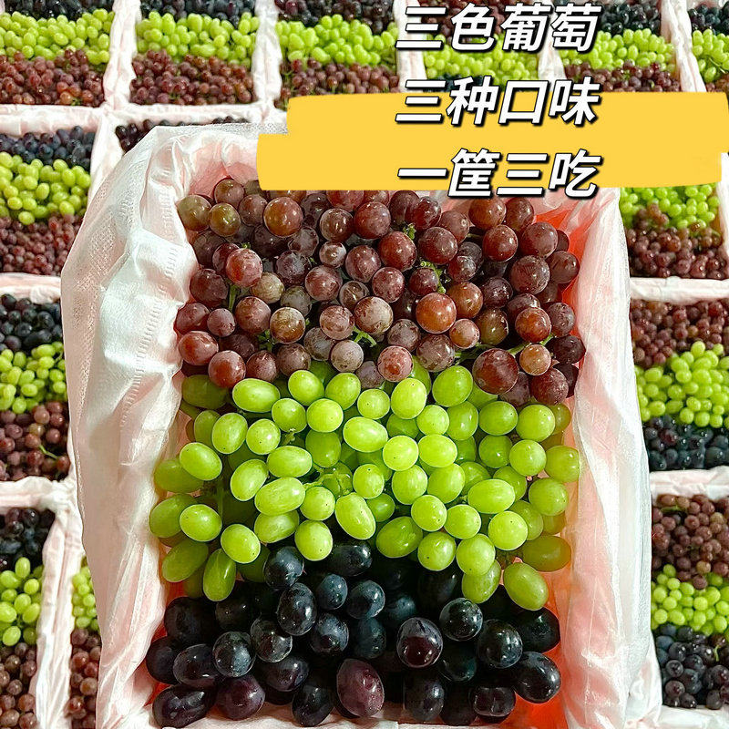 新鲜水果当季无核白无籽玻璃翠
