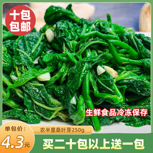 桑叶芽250g新鲜桑叶苗上汤桑叶菜食用嫩桑叶尖冷冻半成品餐饮商用