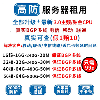 服务器租用BGP多线高防云vps铂金物理机游戏传奇幻兽帕鲁独享带宽