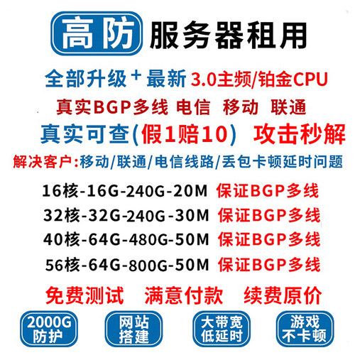 高防物理机铂金bgp多线攻击秒解