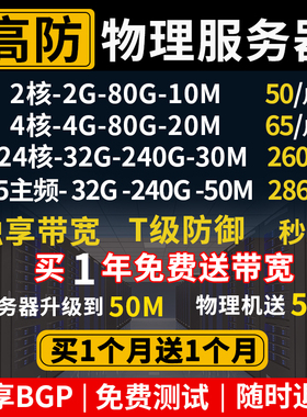 服务器租用高防物理机BGP多线大带款独享vps云挂游戏传奇显卡GPU