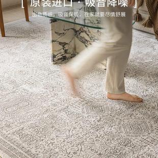 客厅抑菌家用免打理环保卧室 视觉味道土耳其进口现代复古地毯法式