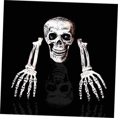 Halloween skull Garden Skull three-piece skull set骷髅头摆件