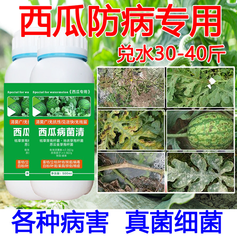 西瓜病通用西瓜专用药蔓枯病疫病炭疽病叶斑病青枯病防治专用正品